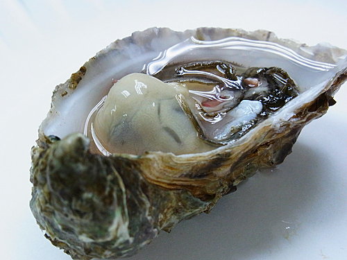 Speciale Fine De Claries N2