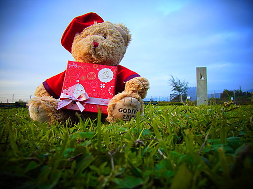 Godiva 2012 情人節禮盒