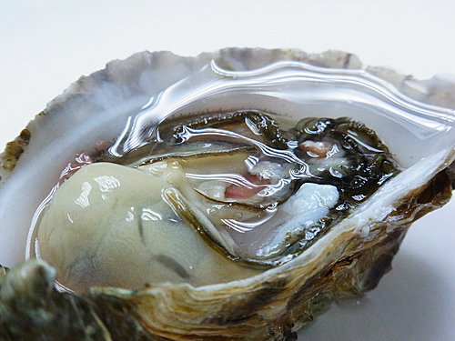 Speciale Fine De Claries N2